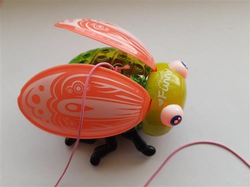 detská hračka – hmyz na ťahanie c