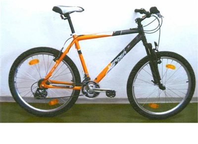 bicykelleaderfoxmaxim