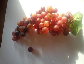 hrozno_strapec_mini2