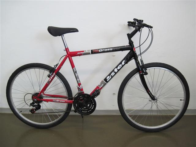 nv-ister%20blue%20grass