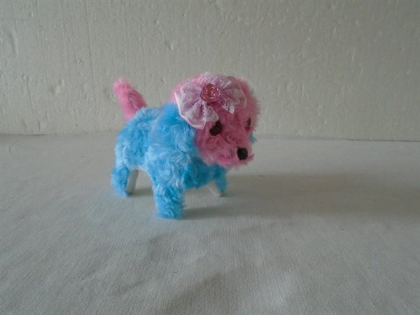 pes_s_rolnickou_tp5%20252